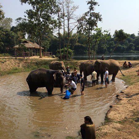 大象噴水|【泰國北碧象園】ELEPHANTSWORLD北碧大象園區。